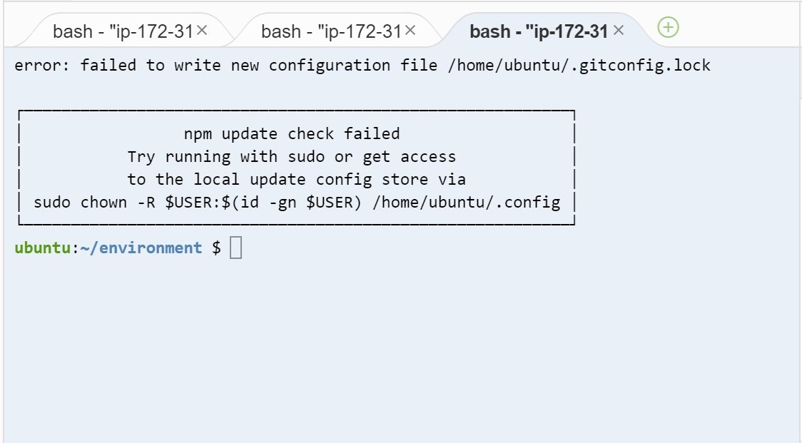 Ruby Npm更新チェック失敗 の為railsサーバーが立ち上がらない問題 Teratail